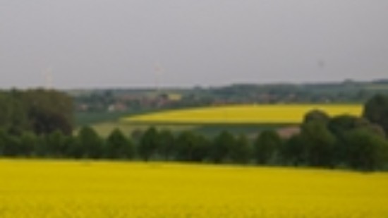 Wunderschöne Landschaft bei Sennickerode
